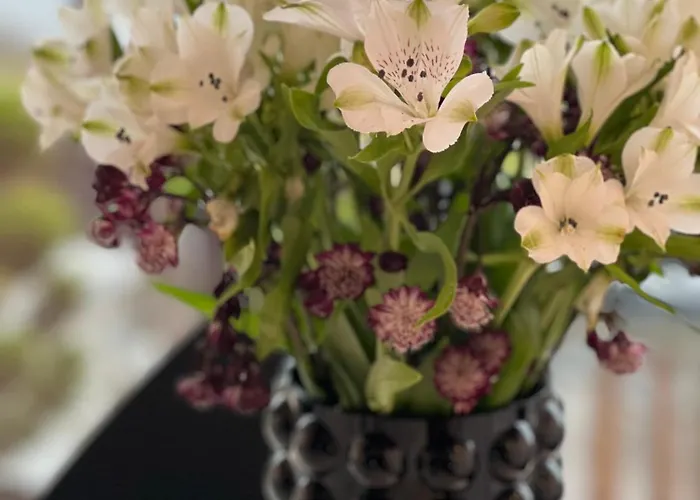 Med 5 Soverom, 4 Bad Og 3 Kjokken, 400 M Fra Lokal Badestrand Villa Bergen