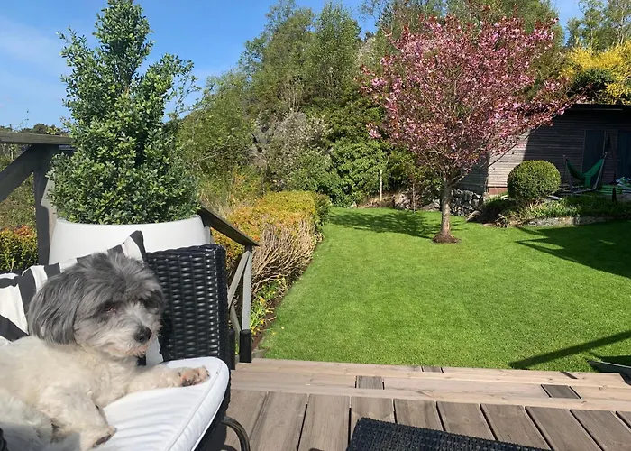 Med 5 Soverom, 4 Bad Og 3 Kjokken, 400 M Fra Lokal Badestrand *