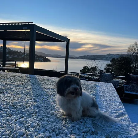 Villa Med 5 Soverom, 4 Bad Og 3 Kjokken, 400 M Fra Lokal Badestrand Bergen